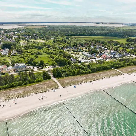 Zur Meeresmuschel Nr.10