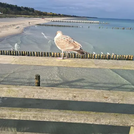 Zur Meeresmuschel Nr.10 Apartment