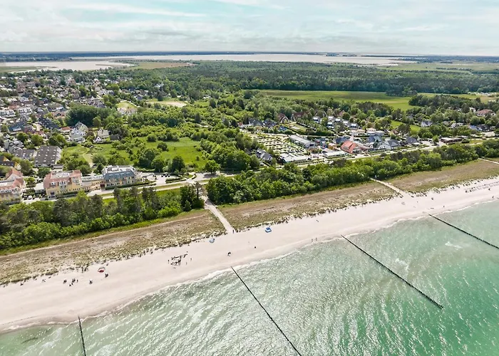 Zur Meeresmuschel Nr.10