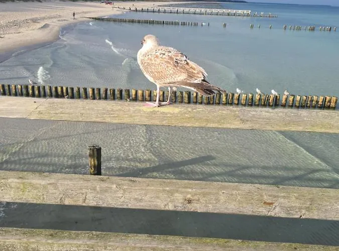 Zur Meeresmuschel Nr.10 Lejlighed